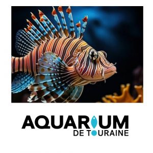 Aquarium de Touraine